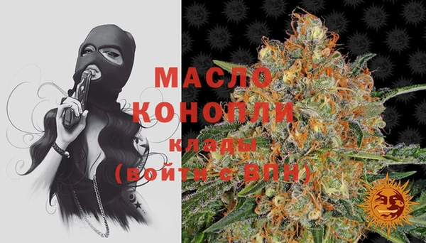 молекула духа Заволжье