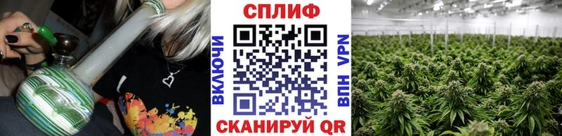 Бошки Шишки индика  Купить где  Вихоревка 